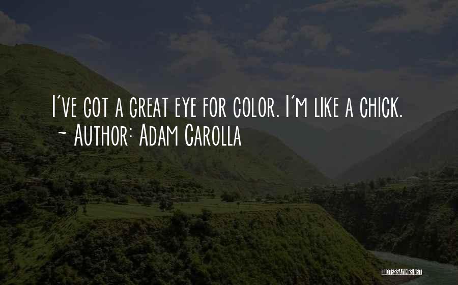 Adam Carolla Quotes: I've Got A Great Eye For Color. I'm Like A Chick.