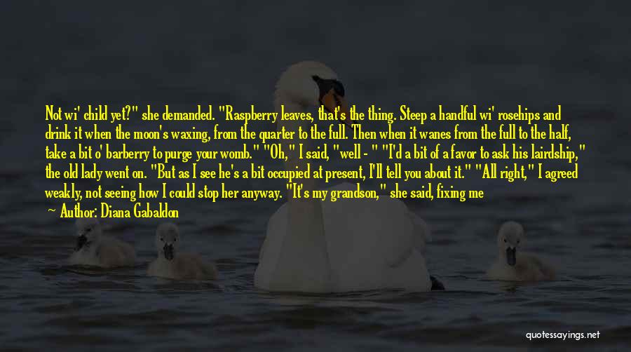 Diana Gabaldon Quotes: Not Wi' Child Yet? She Demanded. Raspberry Leaves, That's The Thing. Steep A Handful Wi' Rosehips And Drink It When