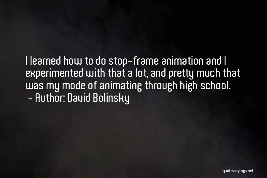 David Bolinsky Quotes: I Learned How To Do Stop-frame Animation And I Experimented With That A Lot, And Pretty Much That Was My