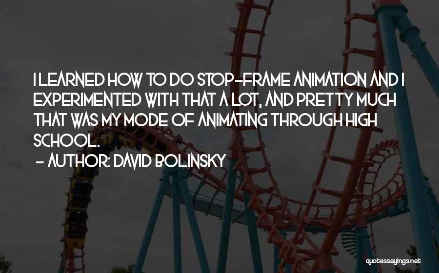 David Bolinsky Quotes: I Learned How To Do Stop-frame Animation And I Experimented With That A Lot, And Pretty Much That Was My