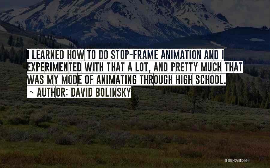 David Bolinsky Quotes: I Learned How To Do Stop-frame Animation And I Experimented With That A Lot, And Pretty Much That Was My