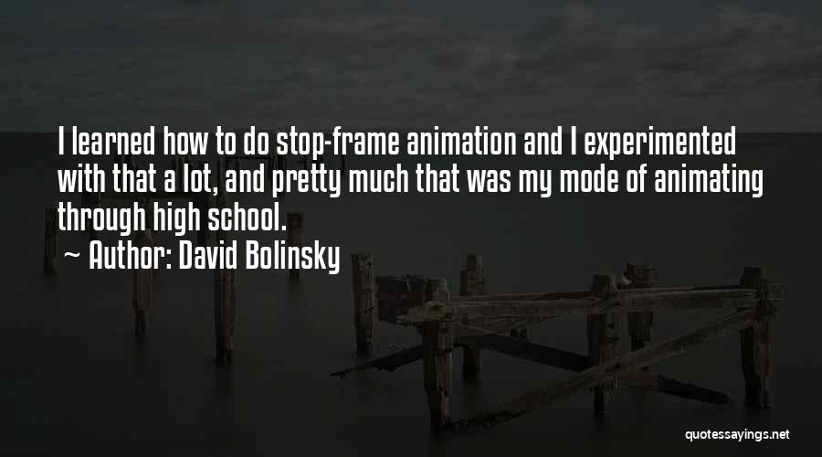 David Bolinsky Quotes: I Learned How To Do Stop-frame Animation And I Experimented With That A Lot, And Pretty Much That Was My