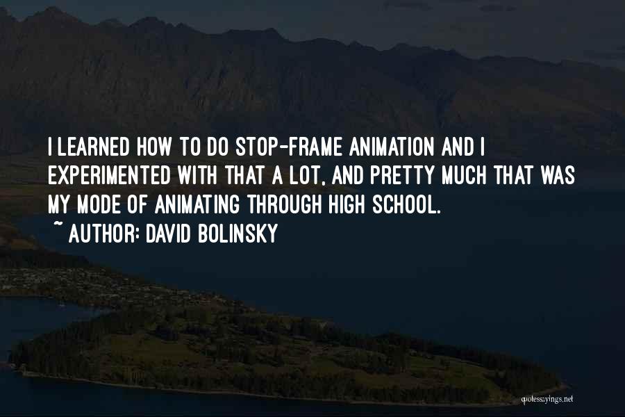 David Bolinsky Quotes: I Learned How To Do Stop-frame Animation And I Experimented With That A Lot, And Pretty Much That Was My