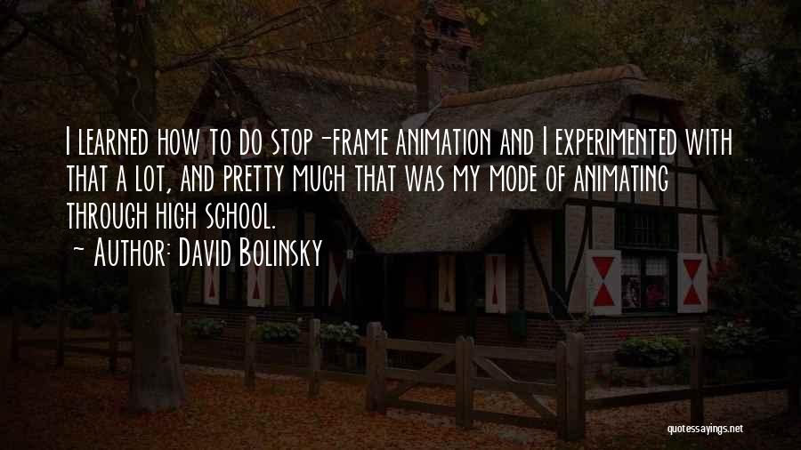 David Bolinsky Quotes: I Learned How To Do Stop-frame Animation And I Experimented With That A Lot, And Pretty Much That Was My