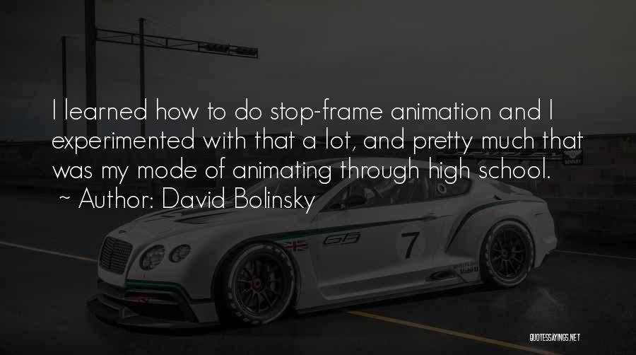 David Bolinsky Quotes: I Learned How To Do Stop-frame Animation And I Experimented With That A Lot, And Pretty Much That Was My