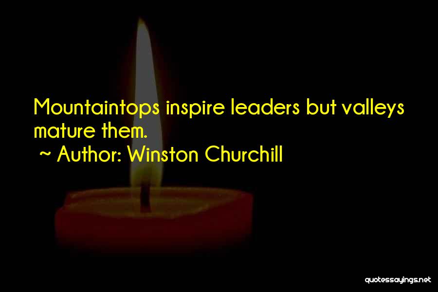 Winston Churchill Quotes: Mountaintops Inspire Leaders But Valleys Mature Them.