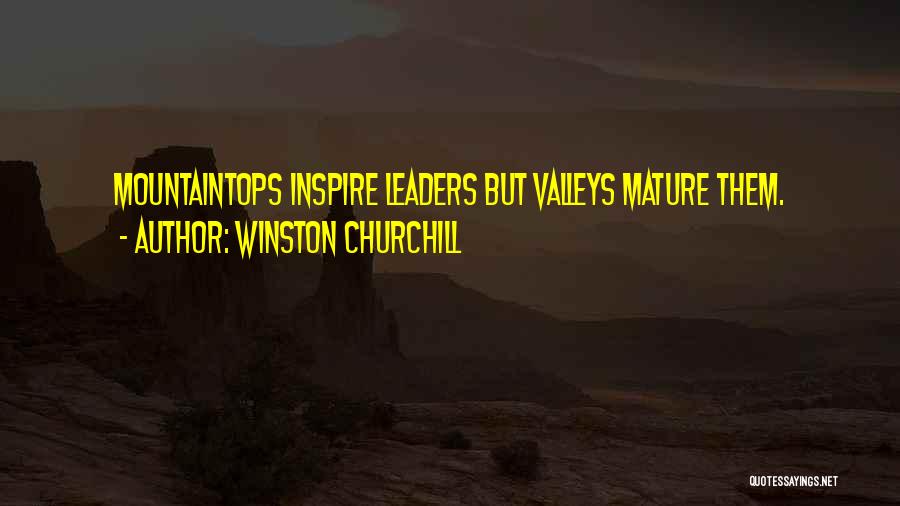 Winston Churchill Quotes: Mountaintops Inspire Leaders But Valleys Mature Them.