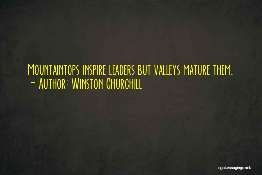 Winston Churchill Quotes: Mountaintops Inspire Leaders But Valleys Mature Them.