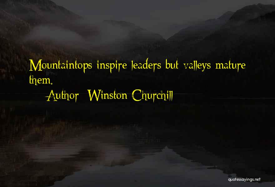 Winston Churchill Quotes: Mountaintops Inspire Leaders But Valleys Mature Them.