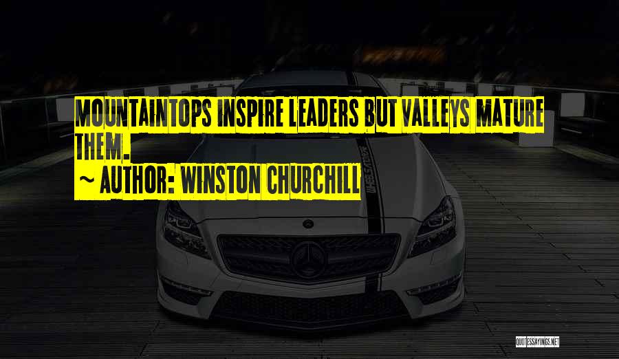 Winston Churchill Quotes: Mountaintops Inspire Leaders But Valleys Mature Them.