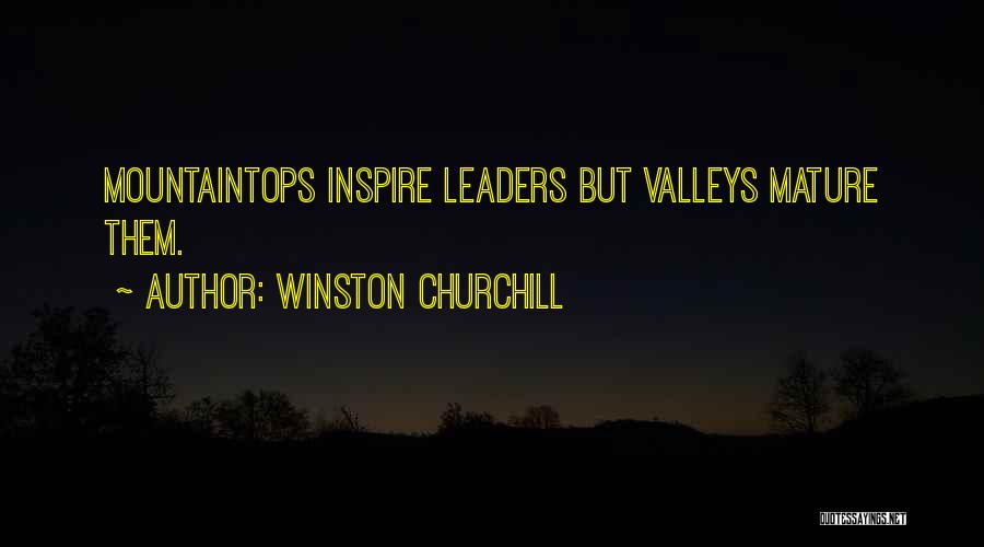 Winston Churchill Quotes: Mountaintops Inspire Leaders But Valleys Mature Them.