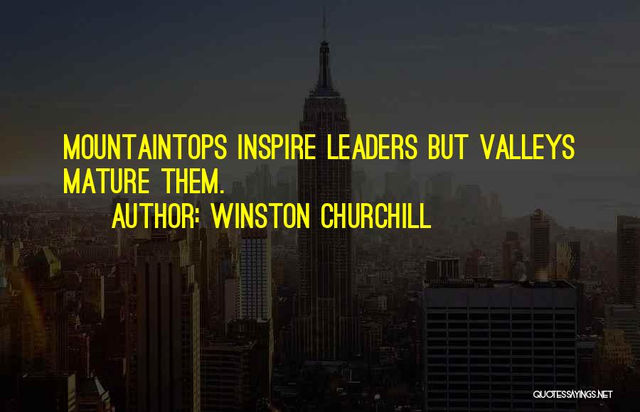Winston Churchill Quotes: Mountaintops Inspire Leaders But Valleys Mature Them.