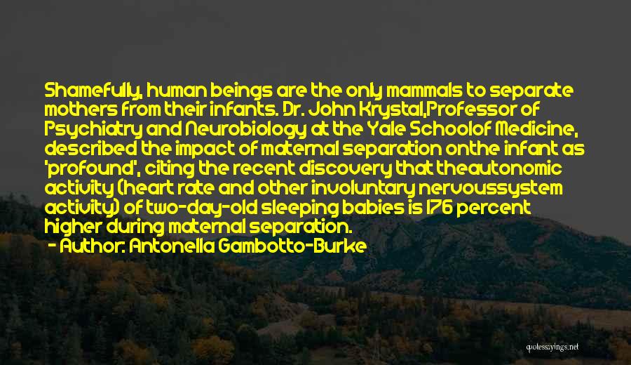 Antonella Gambotto-Burke Quotes: Shamefully, Human Beings Are The Only Mammals To Separate Mothers From Their Infants. Dr. John Krystal,professor Of Psychiatry And Neurobiology