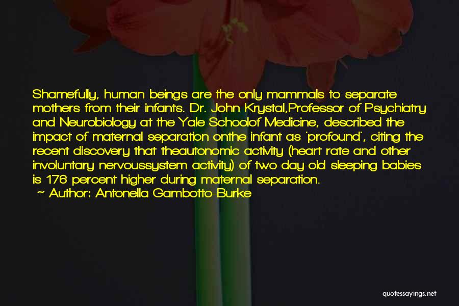 Antonella Gambotto-Burke Quotes: Shamefully, Human Beings Are The Only Mammals To Separate Mothers From Their Infants. Dr. John Krystal,professor Of Psychiatry And Neurobiology