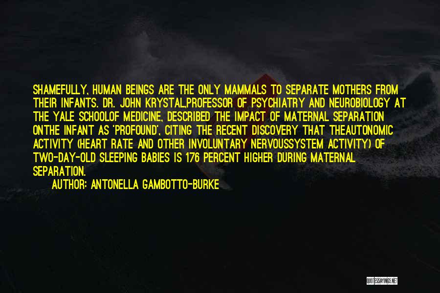 Antonella Gambotto-Burke Quotes: Shamefully, Human Beings Are The Only Mammals To Separate Mothers From Their Infants. Dr. John Krystal,professor Of Psychiatry And Neurobiology