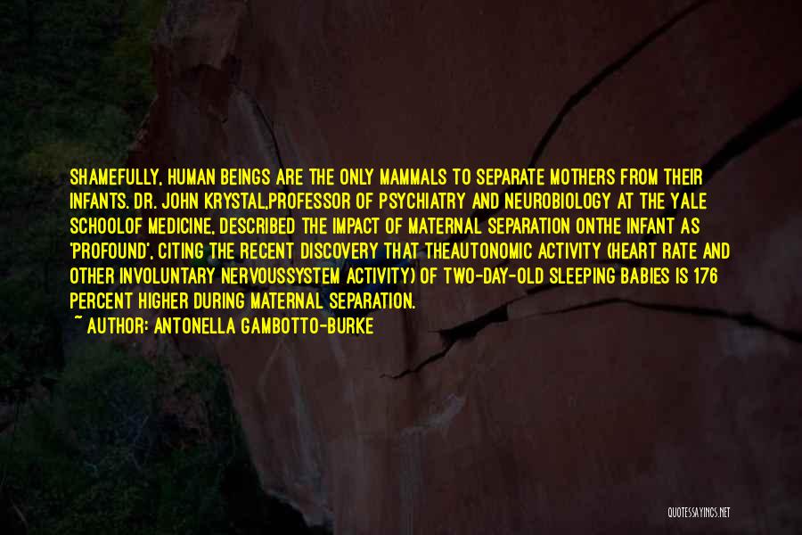 Antonella Gambotto-Burke Quotes: Shamefully, Human Beings Are The Only Mammals To Separate Mothers From Their Infants. Dr. John Krystal,professor Of Psychiatry And Neurobiology