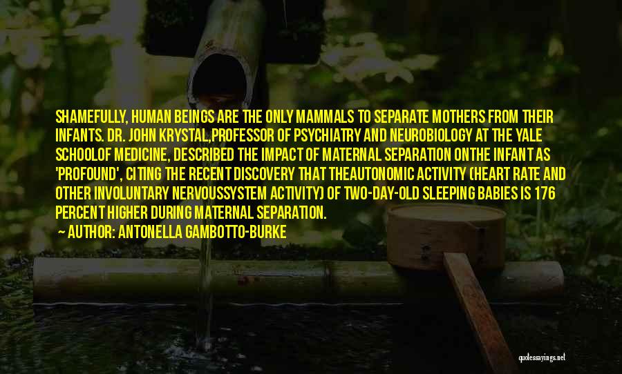 Antonella Gambotto-Burke Quotes: Shamefully, Human Beings Are The Only Mammals To Separate Mothers From Their Infants. Dr. John Krystal,professor Of Psychiatry And Neurobiology