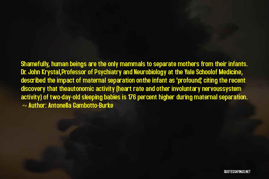 Antonella Gambotto-Burke Quotes: Shamefully, Human Beings Are The Only Mammals To Separate Mothers From Their Infants. Dr. John Krystal,professor Of Psychiatry And Neurobiology