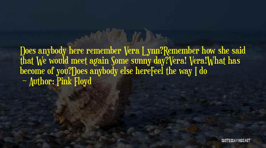 Pink Floyd Quotes: Does Anybody Here Remember Vera Lynn?remember How She Said That We Would Meet Again Some Sunny Day?vera! Vera!what Has Become
