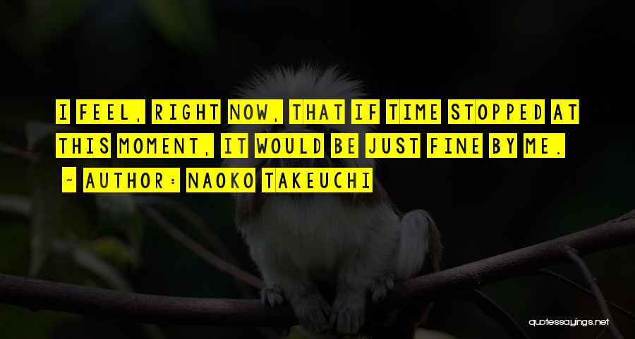 Naoko Takeuchi Quotes: I Feel, Right Now, That If Time Stopped At This Moment, It Would Be Just Fine By Me.