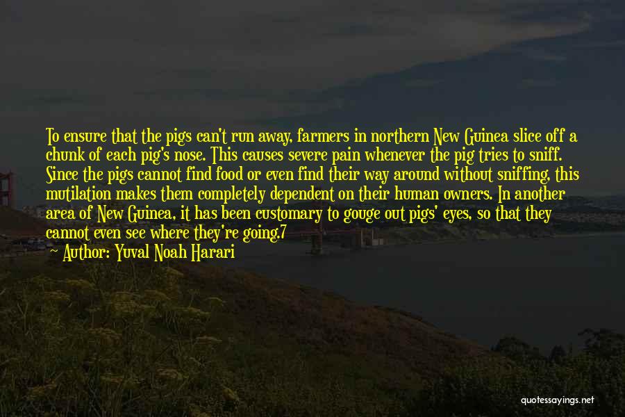 Yuval Noah Harari Quotes: To Ensure That The Pigs Can't Run Away, Farmers In Northern New Guinea Slice Off A Chunk Of Each Pig's