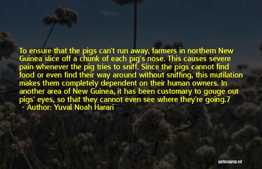 Yuval Noah Harari Quotes: To Ensure That The Pigs Can't Run Away, Farmers In Northern New Guinea Slice Off A Chunk Of Each Pig's