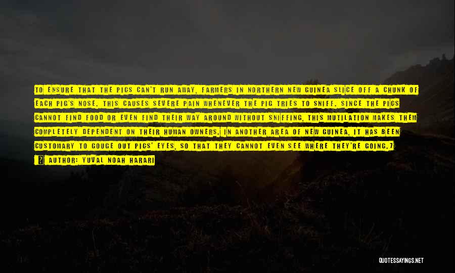 Yuval Noah Harari Quotes: To Ensure That The Pigs Can't Run Away, Farmers In Northern New Guinea Slice Off A Chunk Of Each Pig's