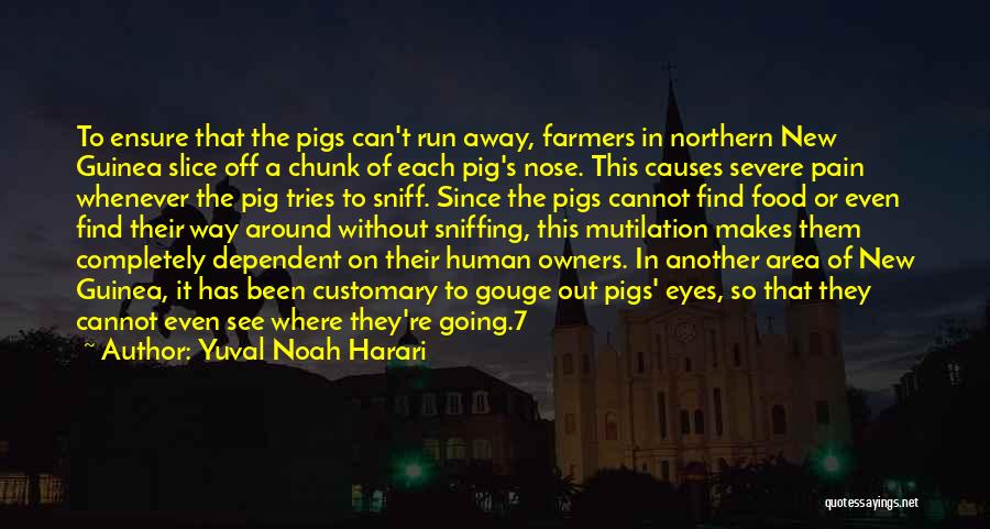 Yuval Noah Harari Quotes: To Ensure That The Pigs Can't Run Away, Farmers In Northern New Guinea Slice Off A Chunk Of Each Pig's