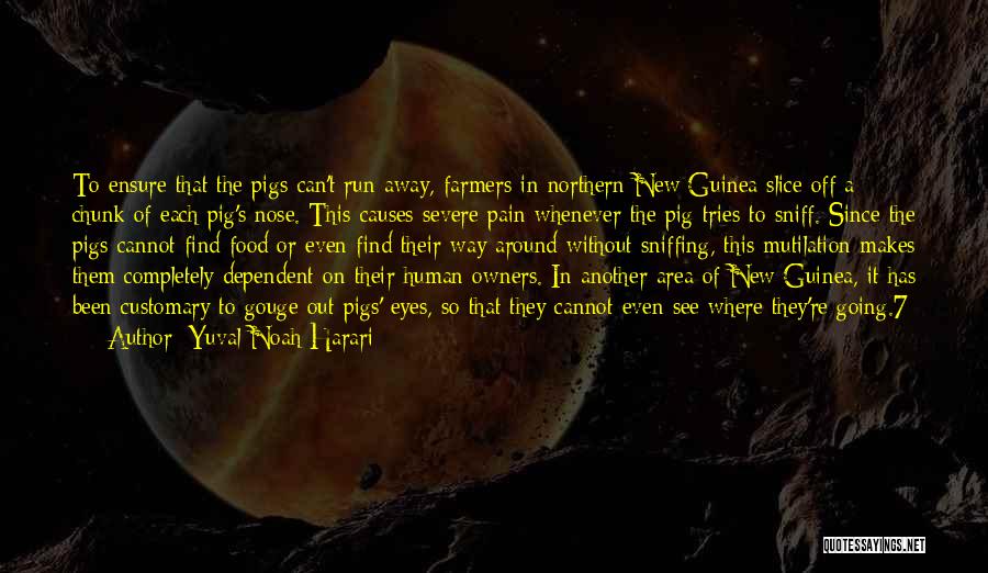 Yuval Noah Harari Quotes: To Ensure That The Pigs Can't Run Away, Farmers In Northern New Guinea Slice Off A Chunk Of Each Pig's