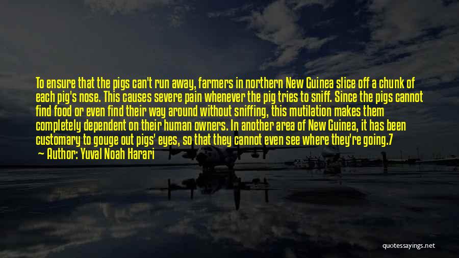 Yuval Noah Harari Quotes: To Ensure That The Pigs Can't Run Away, Farmers In Northern New Guinea Slice Off A Chunk Of Each Pig's