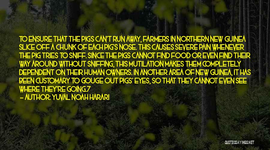 Yuval Noah Harari Quotes: To Ensure That The Pigs Can't Run Away, Farmers In Northern New Guinea Slice Off A Chunk Of Each Pig's