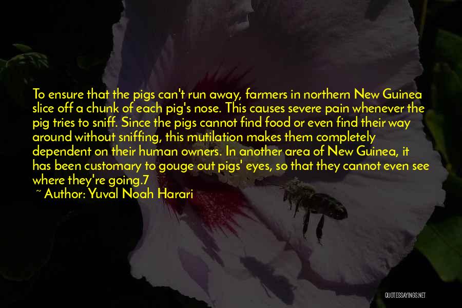 Yuval Noah Harari Quotes: To Ensure That The Pigs Can't Run Away, Farmers In Northern New Guinea Slice Off A Chunk Of Each Pig's