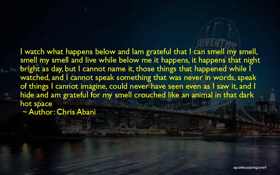 Chris Abani Quotes: I Watch What Happens Below And Iam Grateful That I Can Smell My Smell, Smell My Smell And Live While