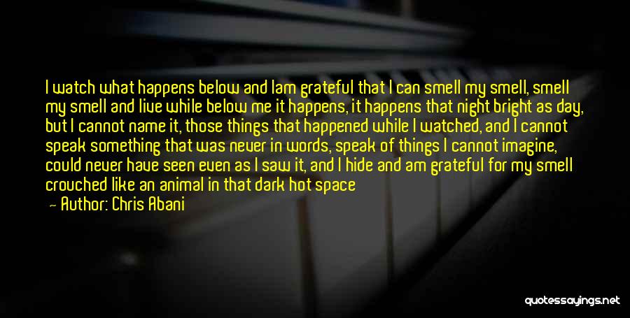 Chris Abani Quotes: I Watch What Happens Below And Iam Grateful That I Can Smell My Smell, Smell My Smell And Live While