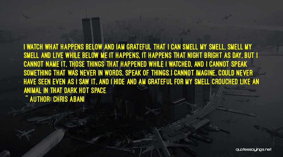 Chris Abani Quotes: I Watch What Happens Below And Iam Grateful That I Can Smell My Smell, Smell My Smell And Live While