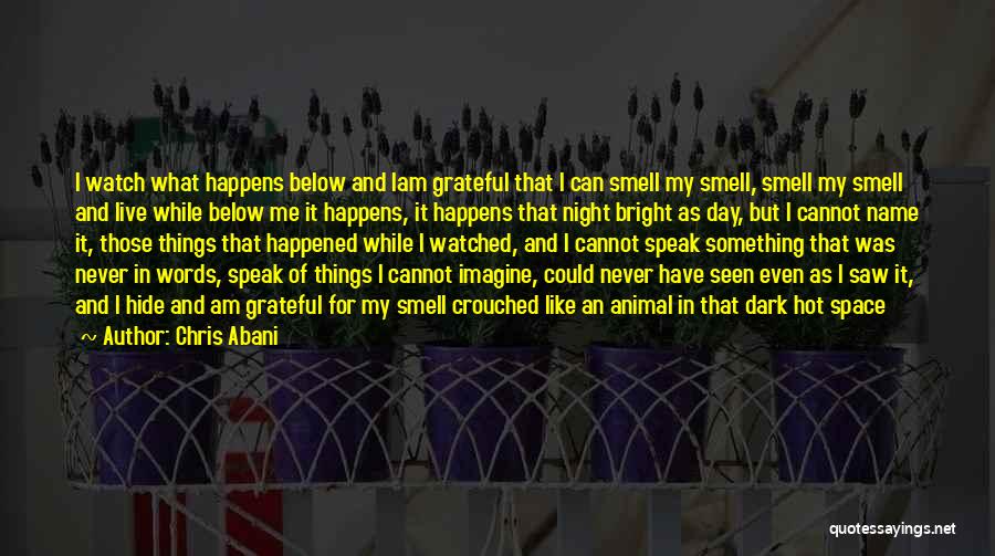 Chris Abani Quotes: I Watch What Happens Below And Iam Grateful That I Can Smell My Smell, Smell My Smell And Live While