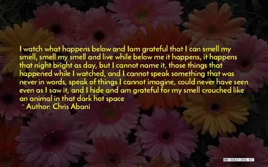 Chris Abani Quotes: I Watch What Happens Below And Iam Grateful That I Can Smell My Smell, Smell My Smell And Live While