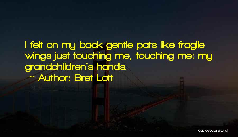 Bret Lott Quotes: I Felt On My Back Gentle Pats Like Fragile Wings Just Touching Me, Touching Me: My Grandchildren's Hands.