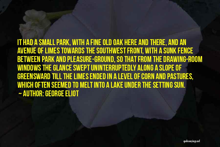 George Eliot Quotes: It Had A Small Park, With A Fine Old Oak Here And There, And An Avenue Of Limes Towards The