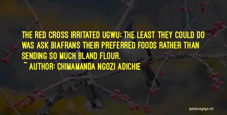 Chimamanda Ngozi Adichie Quotes: The Red Cross Irritated Ugwu; The Least They Could Do Was Ask Biafrans Their Preferred Foods Rather Than Sending So