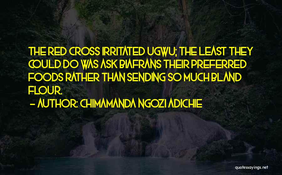 Chimamanda Ngozi Adichie Quotes: The Red Cross Irritated Ugwu; The Least They Could Do Was Ask Biafrans Their Preferred Foods Rather Than Sending So