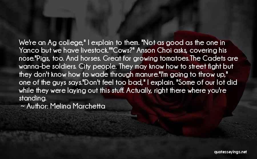 Melina Marchetta Quotes: We're An Ag College, I Explain To Them. Not As Good As The One In Yanco But We Have Livestock.cows?
