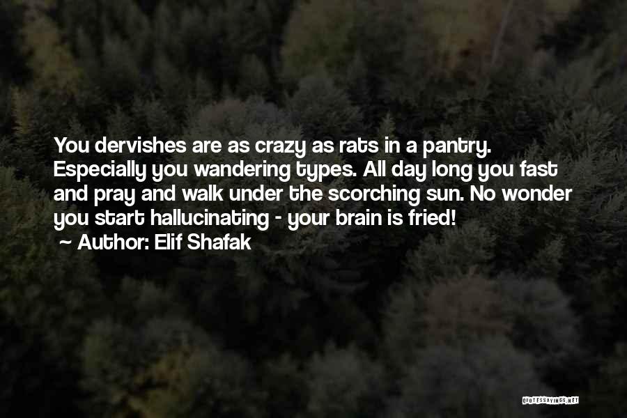 Elif Shafak Quotes: You Dervishes Are As Crazy As Rats In A Pantry. Especially You Wandering Types. All Day Long You Fast And