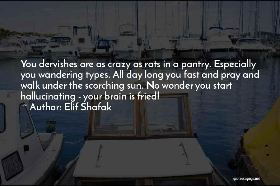 Elif Shafak Quotes: You Dervishes Are As Crazy As Rats In A Pantry. Especially You Wandering Types. All Day Long You Fast And