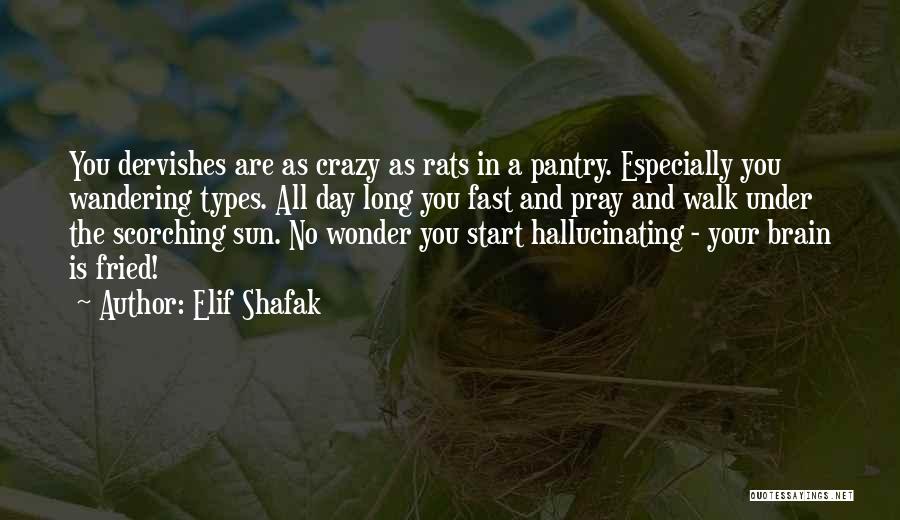 Elif Shafak Quotes: You Dervishes Are As Crazy As Rats In A Pantry. Especially You Wandering Types. All Day Long You Fast And