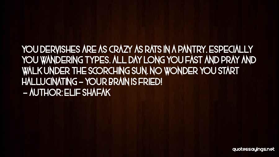 Elif Shafak Quotes: You Dervishes Are As Crazy As Rats In A Pantry. Especially You Wandering Types. All Day Long You Fast And