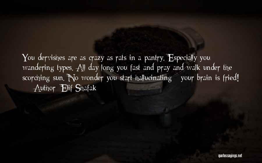 Elif Shafak Quotes: You Dervishes Are As Crazy As Rats In A Pantry. Especially You Wandering Types. All Day Long You Fast And