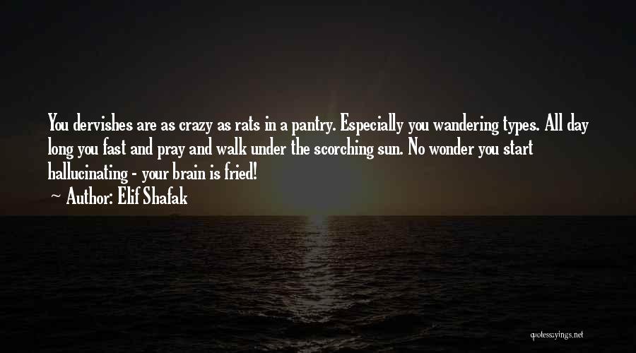 Elif Shafak Quotes: You Dervishes Are As Crazy As Rats In A Pantry. Especially You Wandering Types. All Day Long You Fast And