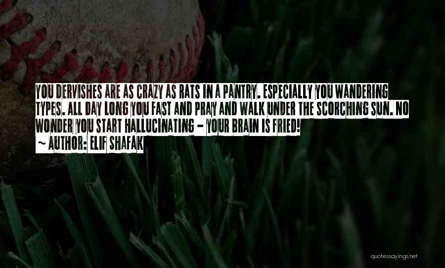 Elif Shafak Quotes: You Dervishes Are As Crazy As Rats In A Pantry. Especially You Wandering Types. All Day Long You Fast And