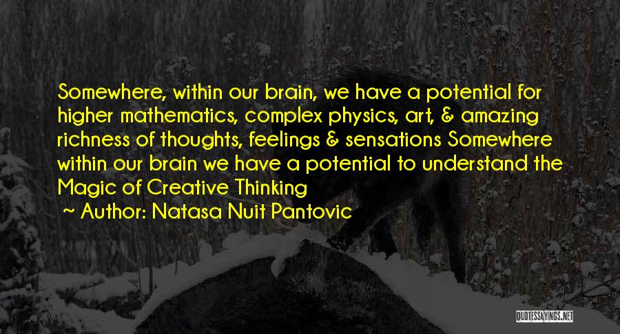 Natasa Nuit Pantovic Quotes: Somewhere, Within Our Brain, We Have A Potential For Higher Mathematics, Complex Physics, Art, & Amazing Richness Of Thoughts, Feelings